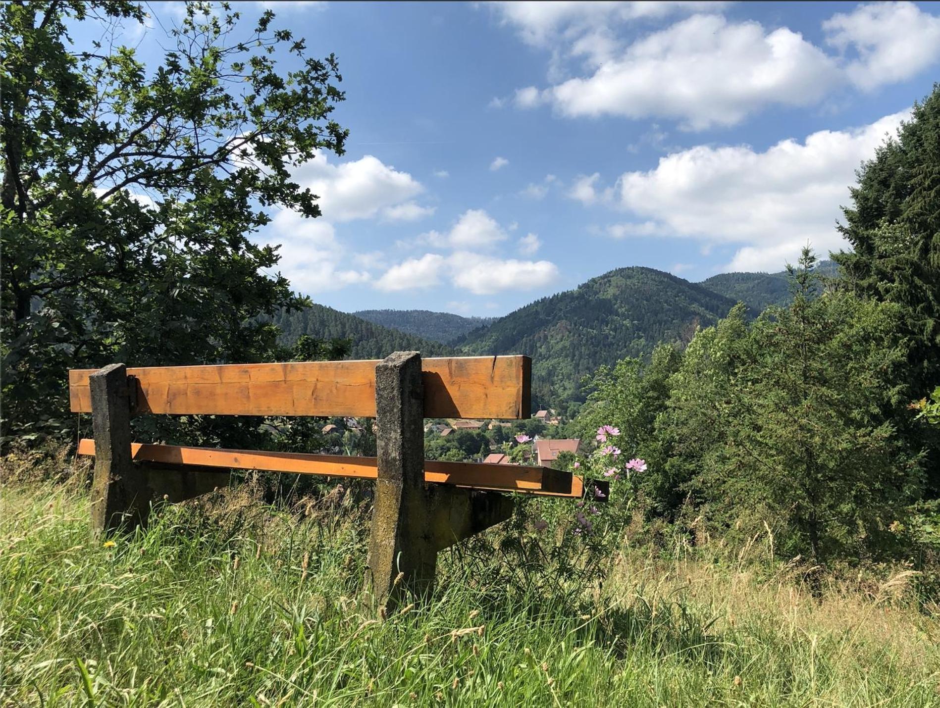 Lo'Gite L'Allee Du Val Lalaye Luaran gambar