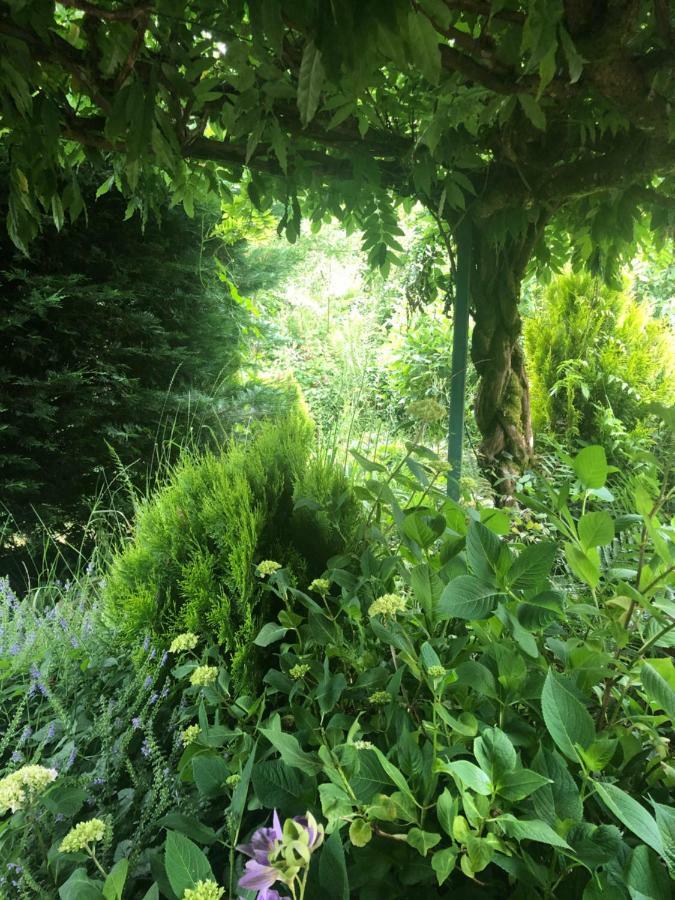 Lo'Gite L'Allee Du Val Lalaye Luaran gambar
