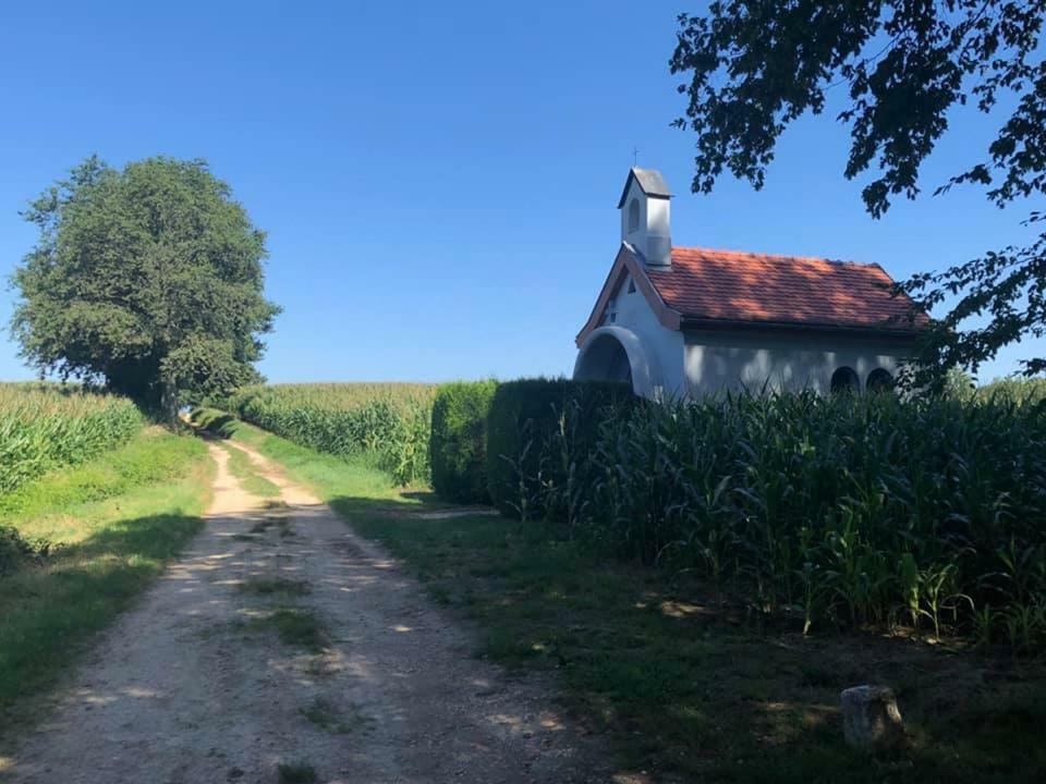 Lo'Gite L'Allee Du Val Lalaye Luaran gambar