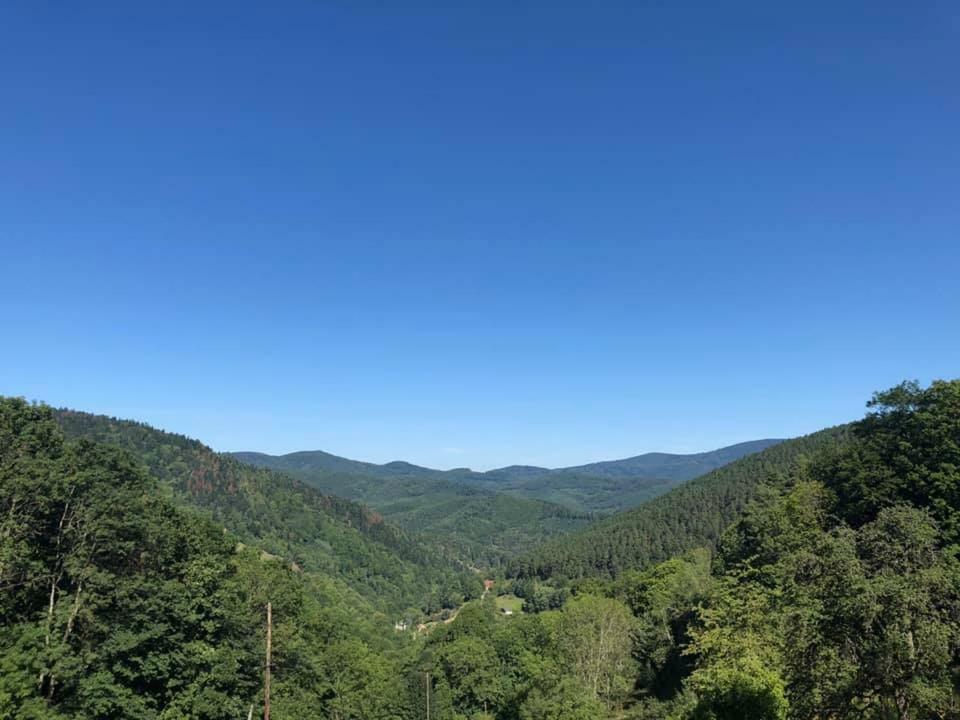 Lo'Gite L'Allee Du Val Lalaye Luaran gambar
