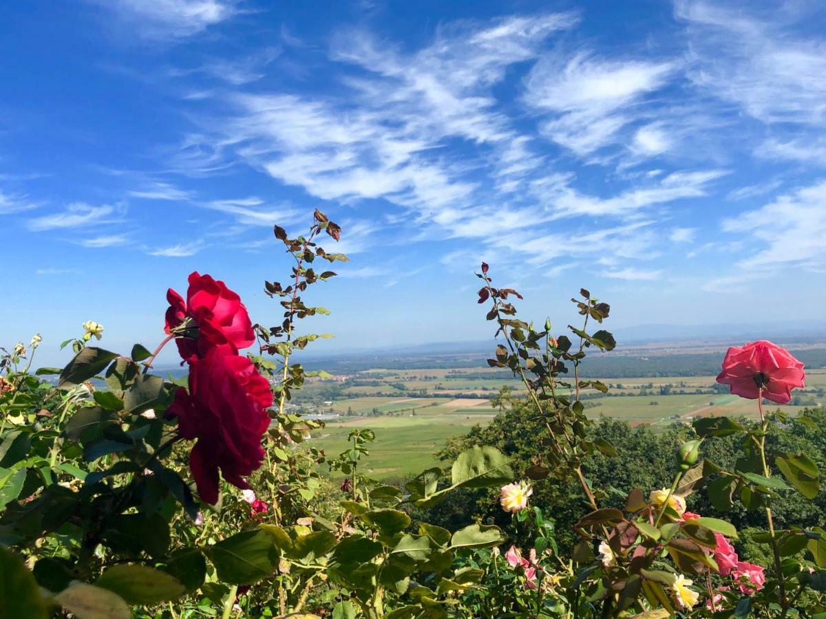Lo'Gite L'Allee Du Val Lalaye Luaran gambar