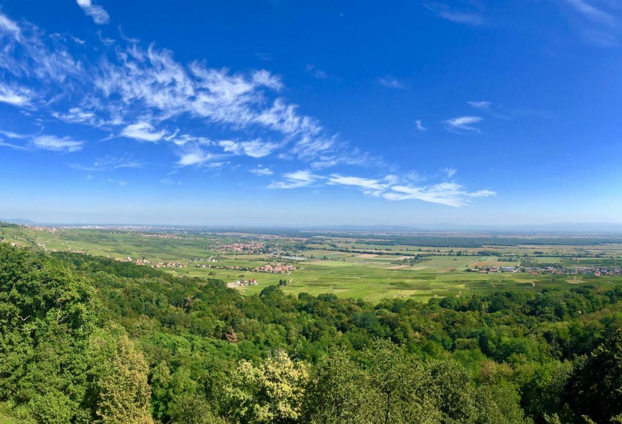 Lo'Gite L'Allee Du Val Lalaye Luaran gambar