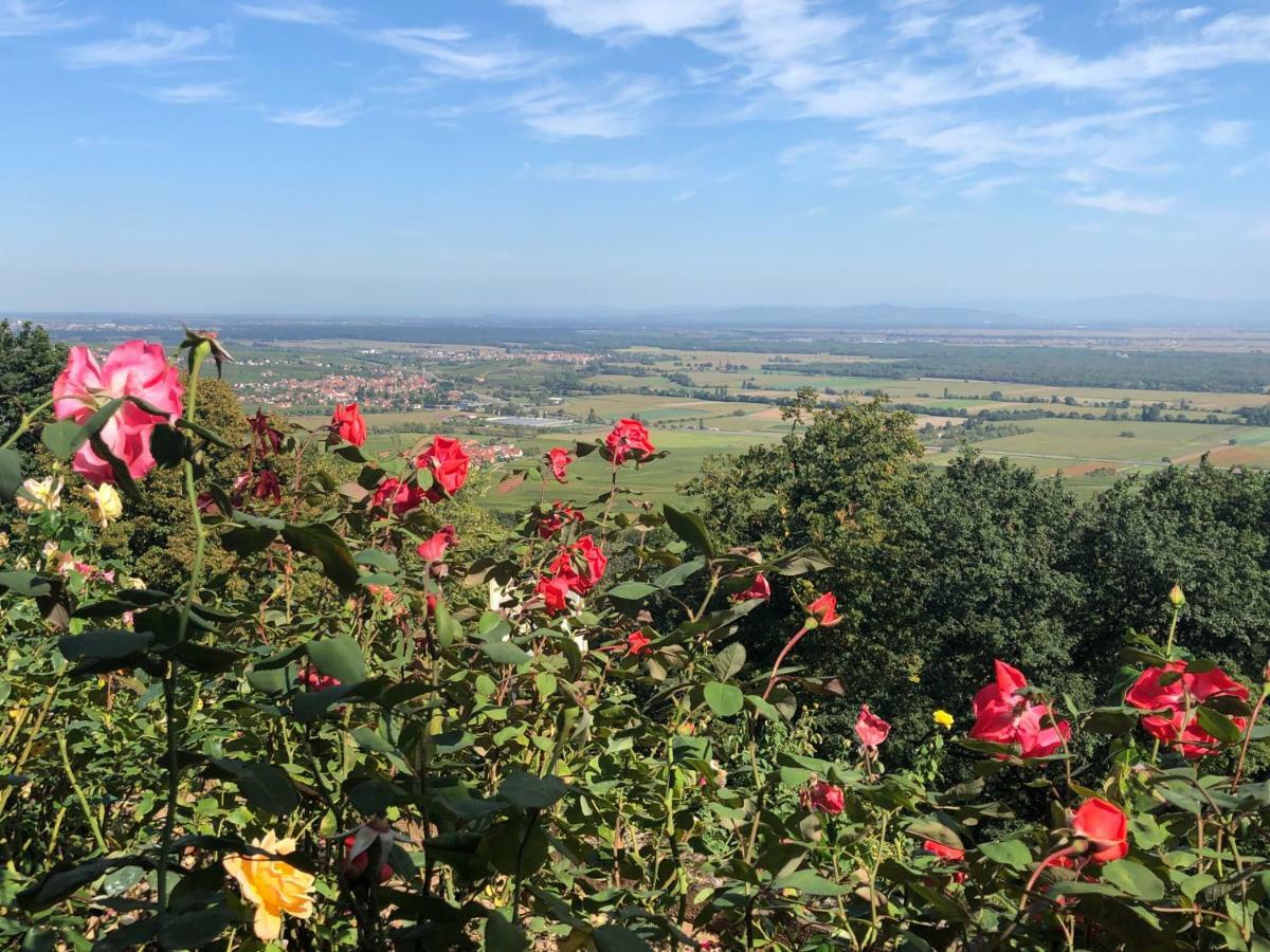 Lo'Gite L'Allee Du Val Lalaye Luaran gambar